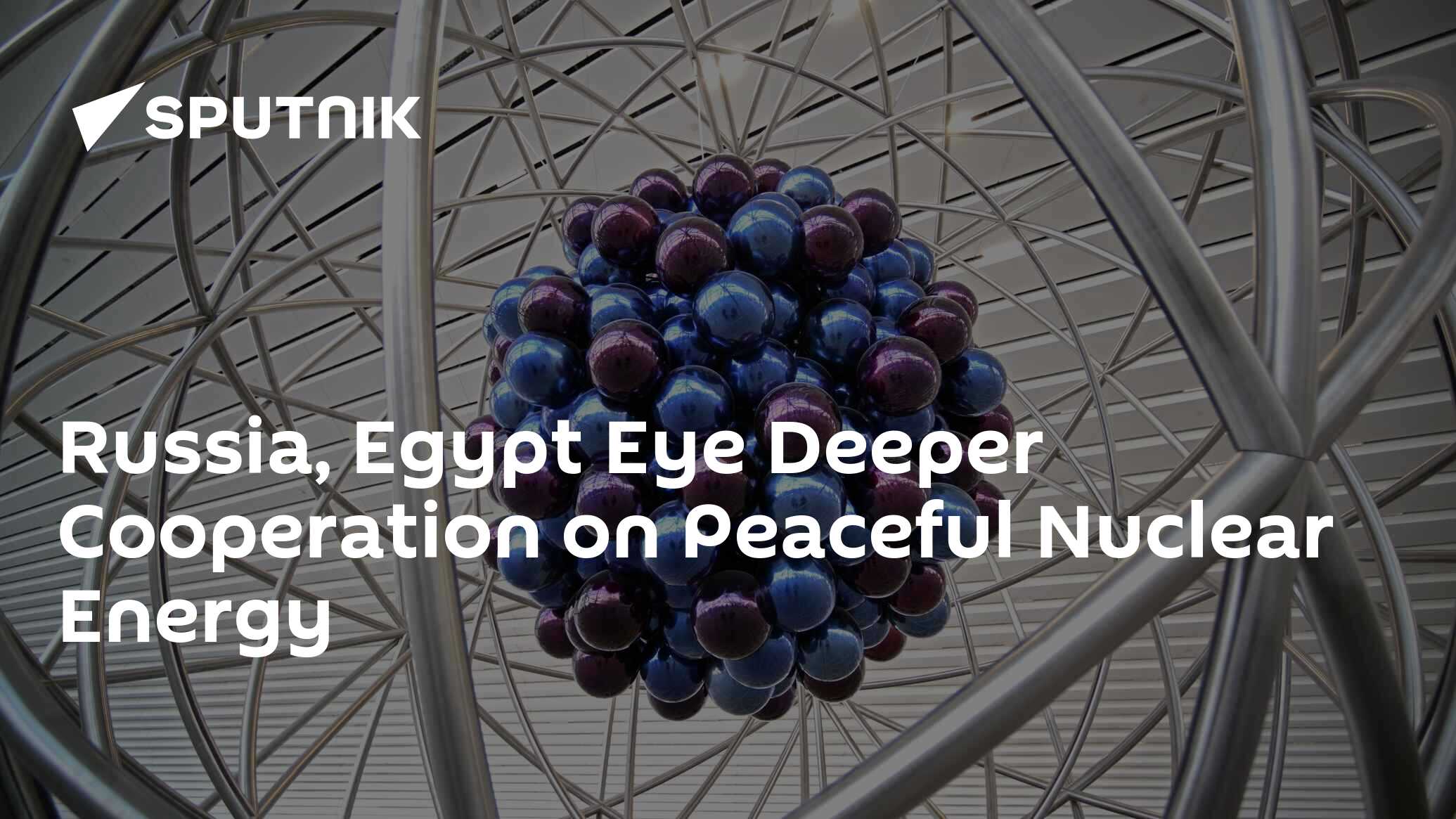 Russia, Egypt Eye Deeper Cooperation on Peaceful Nuclear Energy