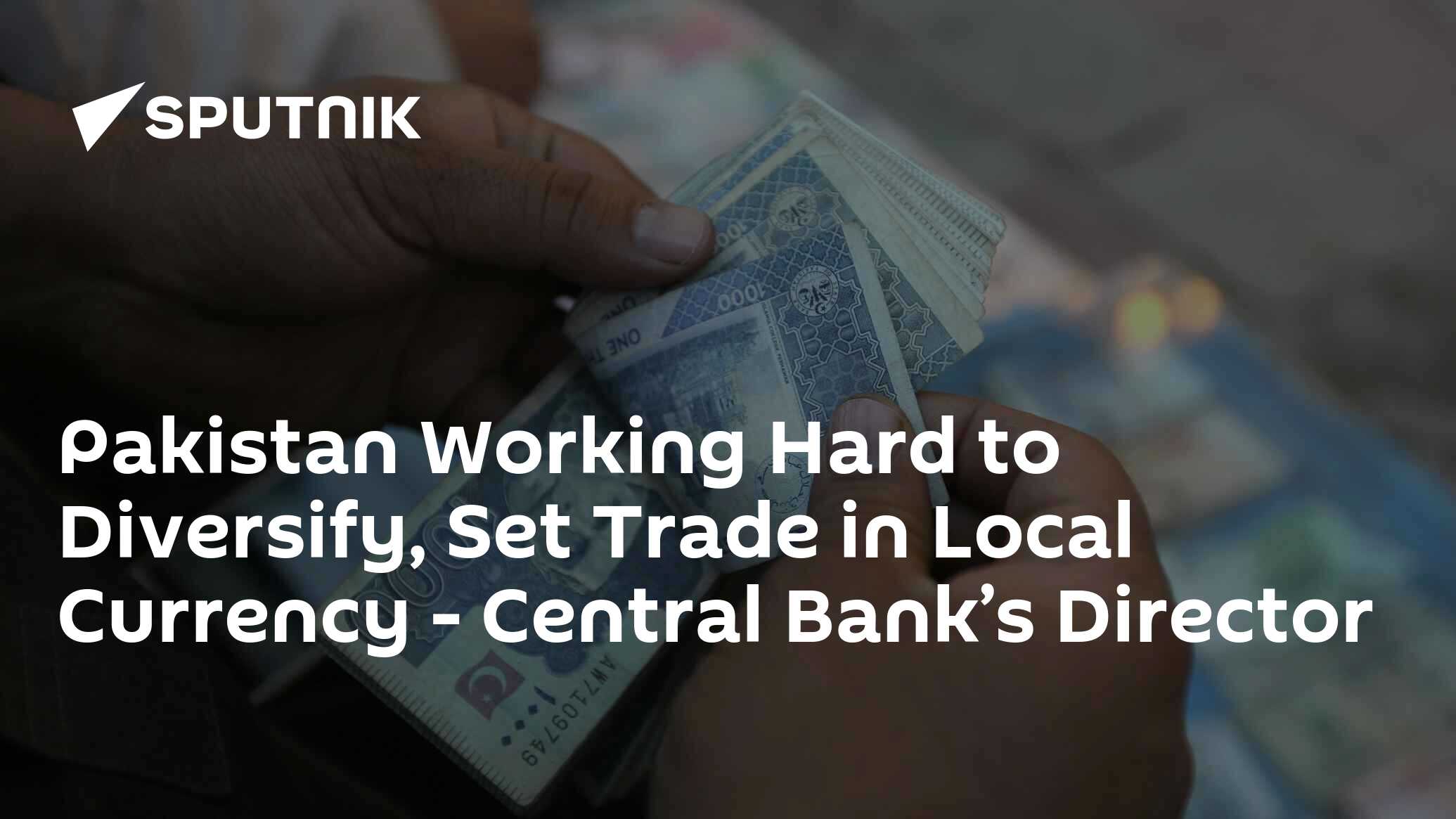 Pakistan Working Hard to Diversify, Set Trade in Local Currency